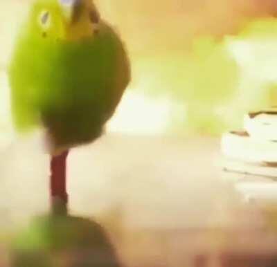 How I feel during the Sulphur breakdown every single time.🤘🏼