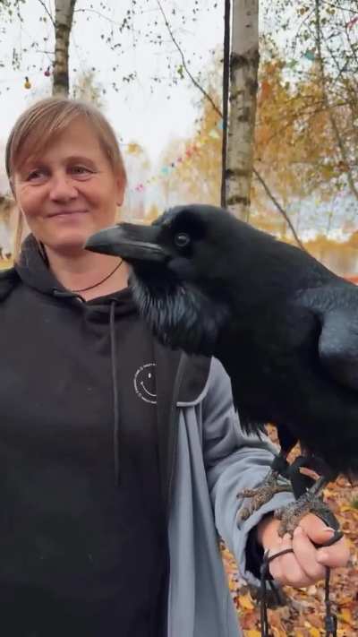 Hearing a raven speak Russian is one of the most terifying things I've ever heard