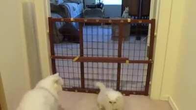 Training at the acatdemy.