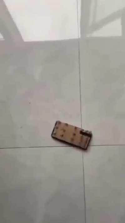 cursed_phone