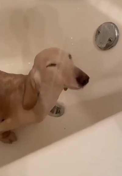 Happy Shower Thoughts