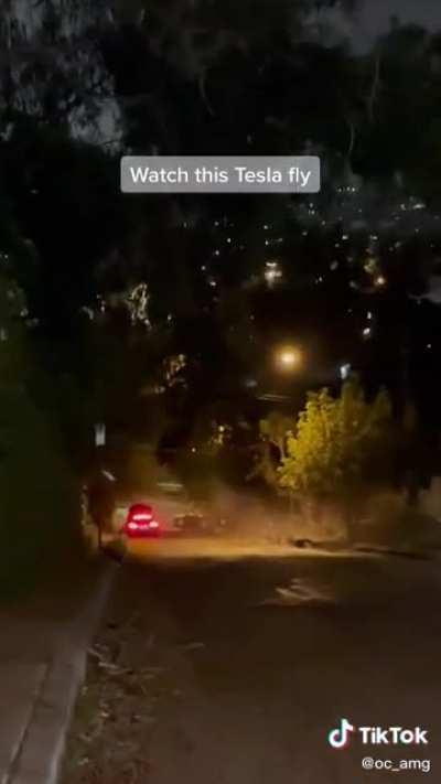 Flying Tesla? New Update?