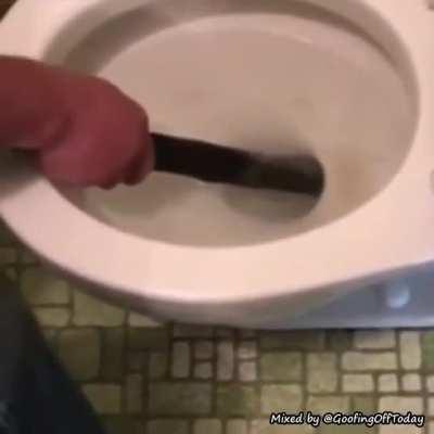 man catches a Snake in Toilet