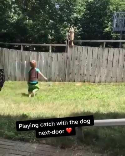 Dogs are the best people