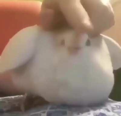 Era: ? Genre: Video Game, Artist Type: probably from Mario or something Nintendo