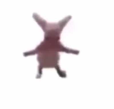 otro video del bingus