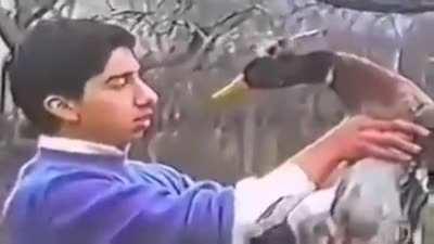 WCGW Trying to kiss a duck