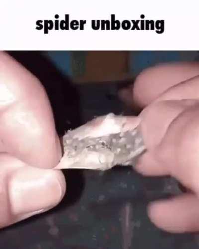 EA Surprise Mechanic