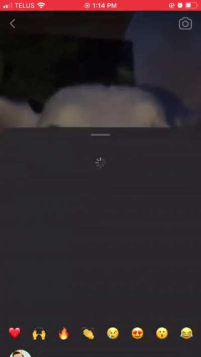 bro said that’s enough 💀