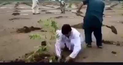 Follow-up to the destruction of trees in Northern Pakistan