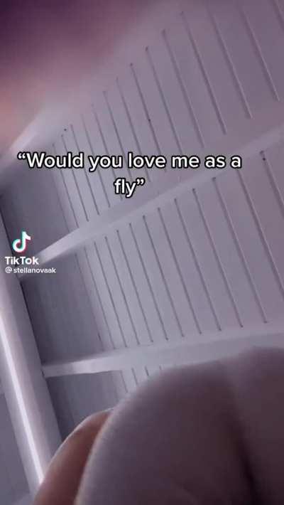 That could be your face🤓