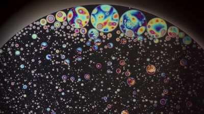 Oil droplets on soap film! - by Karl Gaff for Nikon Small World