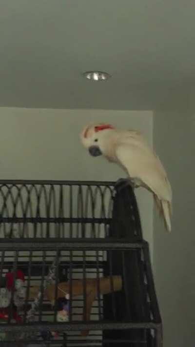 I think my too is broken