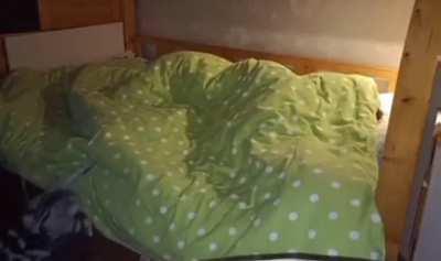 Kidnapping cats one by one