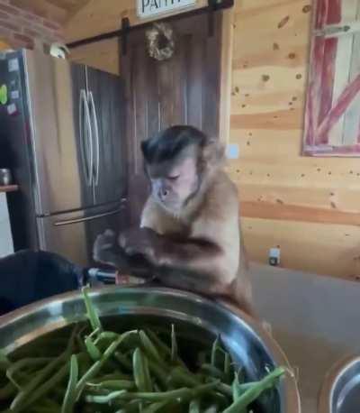 average red scare male fixing something to contribute to the subs growing food discourse