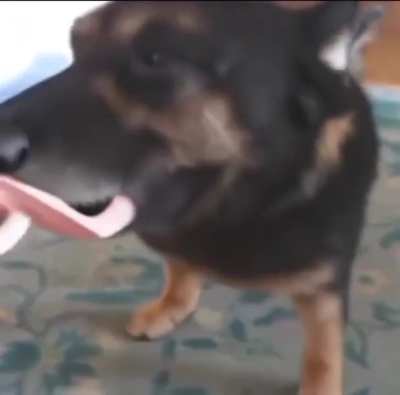 полпвкер, пршмгече3уке