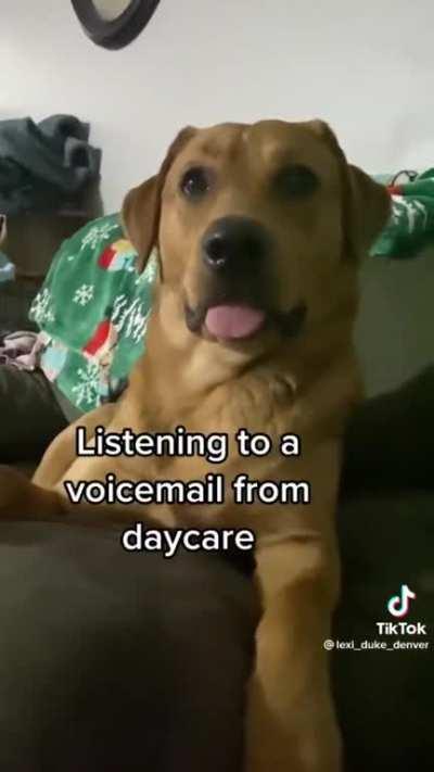 When you're humping everyone in class and the teacher calls your mom