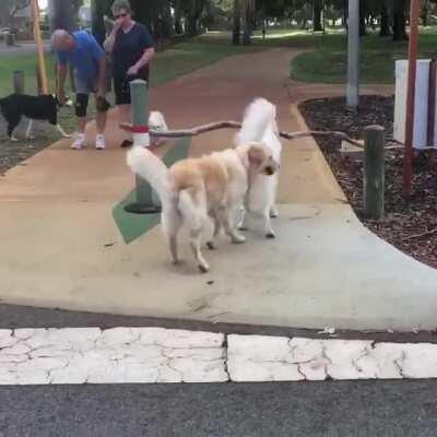 Brother with helping jaw.☺