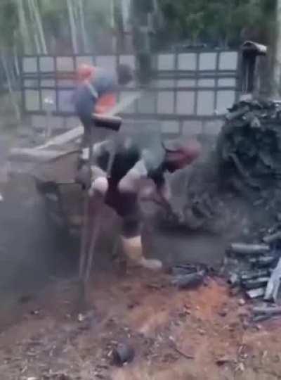 Mental ability > Physical disability