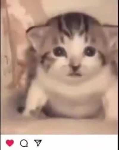 WARNING GRAPHIC CONTENT