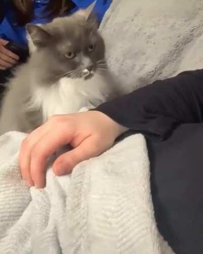 Wow! ❤️ this is so so lovely 😊