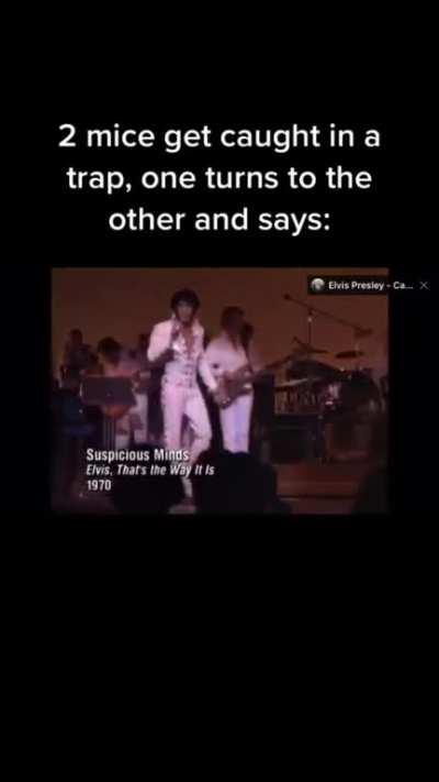 They’re caught in a trap