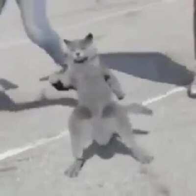 TA3 predpoveď počasia znelka be like