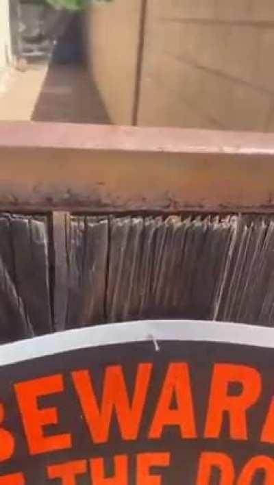 Must be their day off