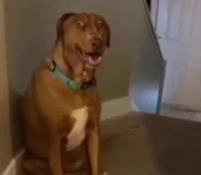 lil durk if he was a dawg