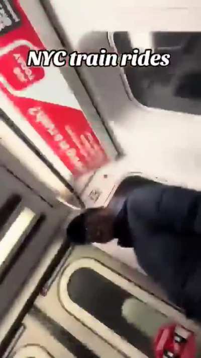 A normal NYC train ride