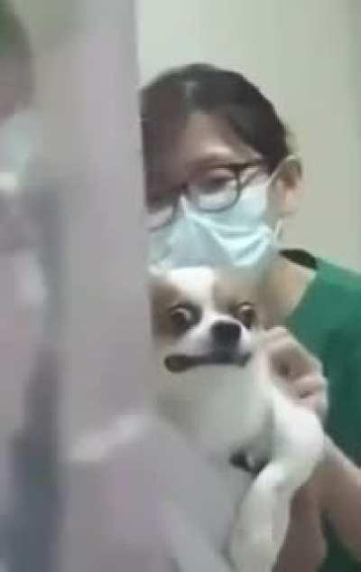 Da de ver o terror nos olhos dele