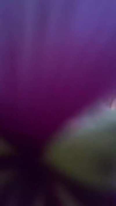 'A never ending midnight suuuuuun' - IG June 2025