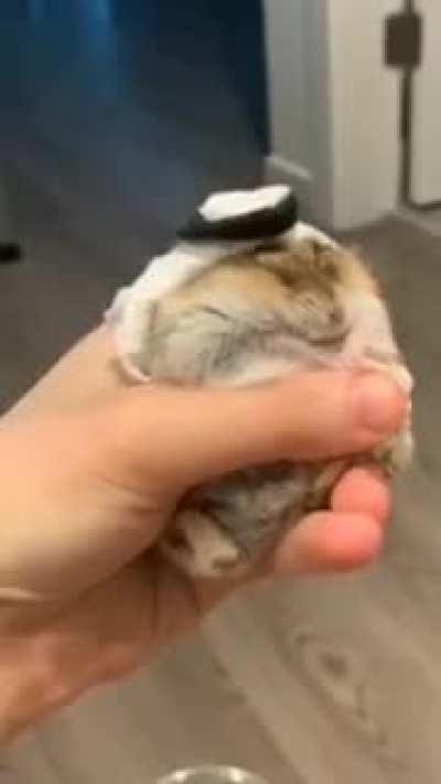 Halal teemo rework when??