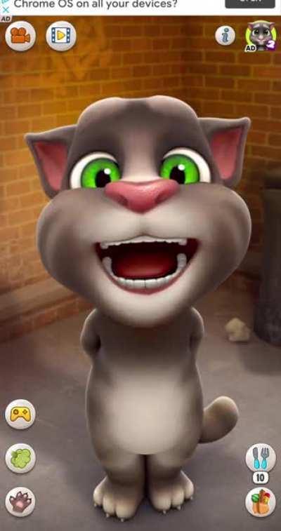 talking tom riot