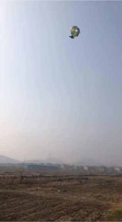 One small step for hen...