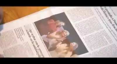 La voz de la dignidad. Tu voz.
