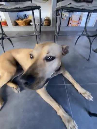 Sonar ears activated!