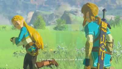 Zelda’s Many Voices