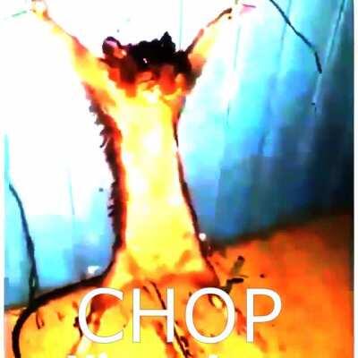 Chop Rat