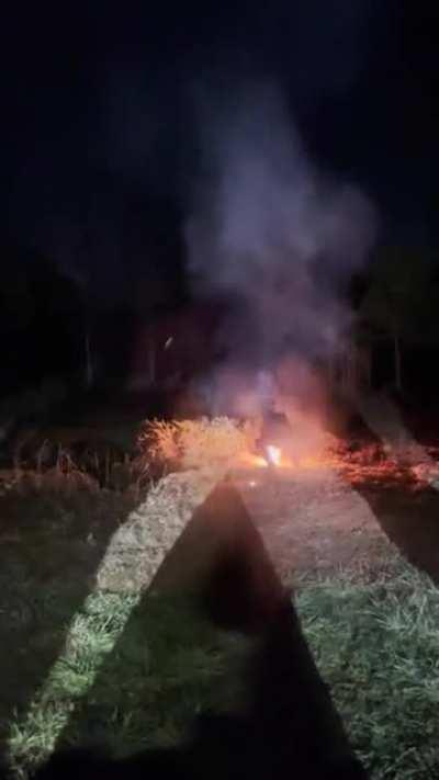 My brother has some stupid friends.