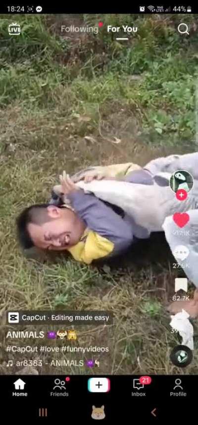 I am CONVINCED that geese are evil incarnate 