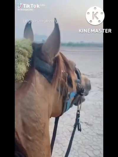 y? arranca o no arranca?