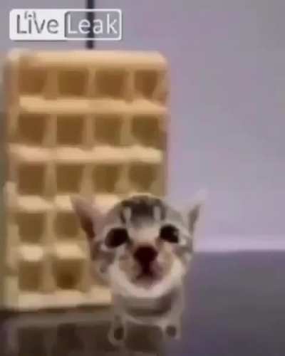 Loserprison accident (emotional)