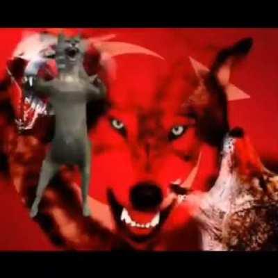 Fransa'yı Boykot Etmek İçin VPN programından Fransa yerine Almanya'yı seçersin;