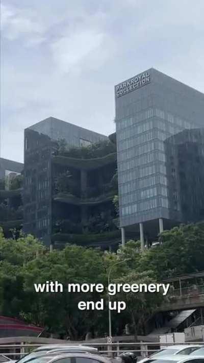 In parts of Singapore, buildings are required to replace the greenery lost on land area, on the building. Some buildings even have gardens on rooftops that free for public visits.