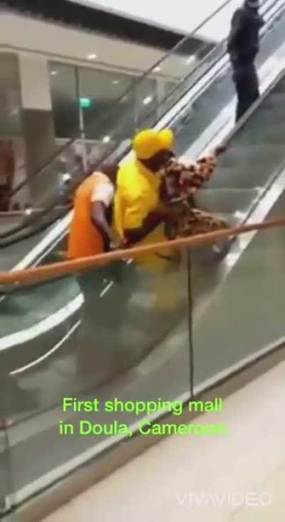 To use an escalator correctly