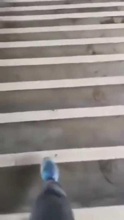 You must pet, I wantz love