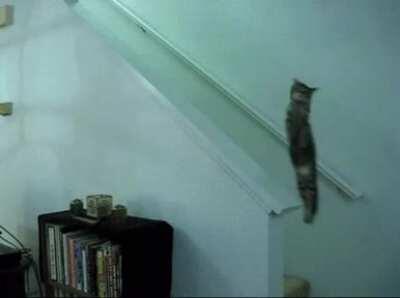 When the ghost killed you but you gotta take the cat photo back to the truck