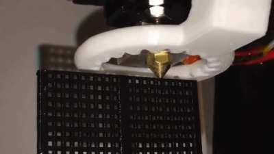 3D-printing a fly swatter.