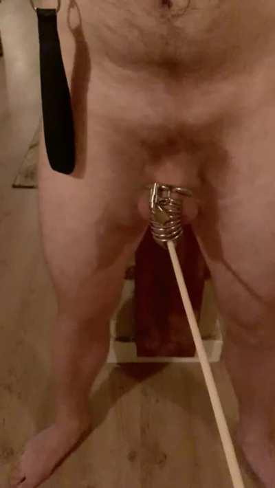 Chastity Quarantine Quinn Wilde Porn GIF by mistresserinia